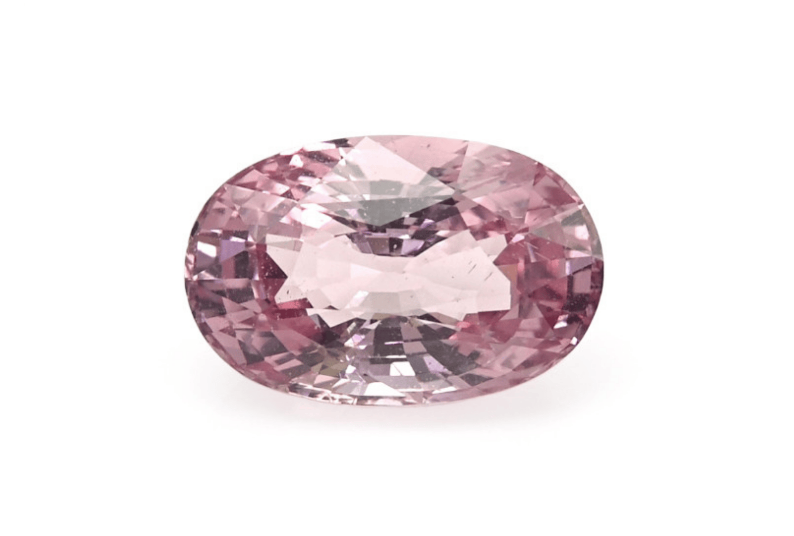 Untitled design - 2025-06-05T121403.634