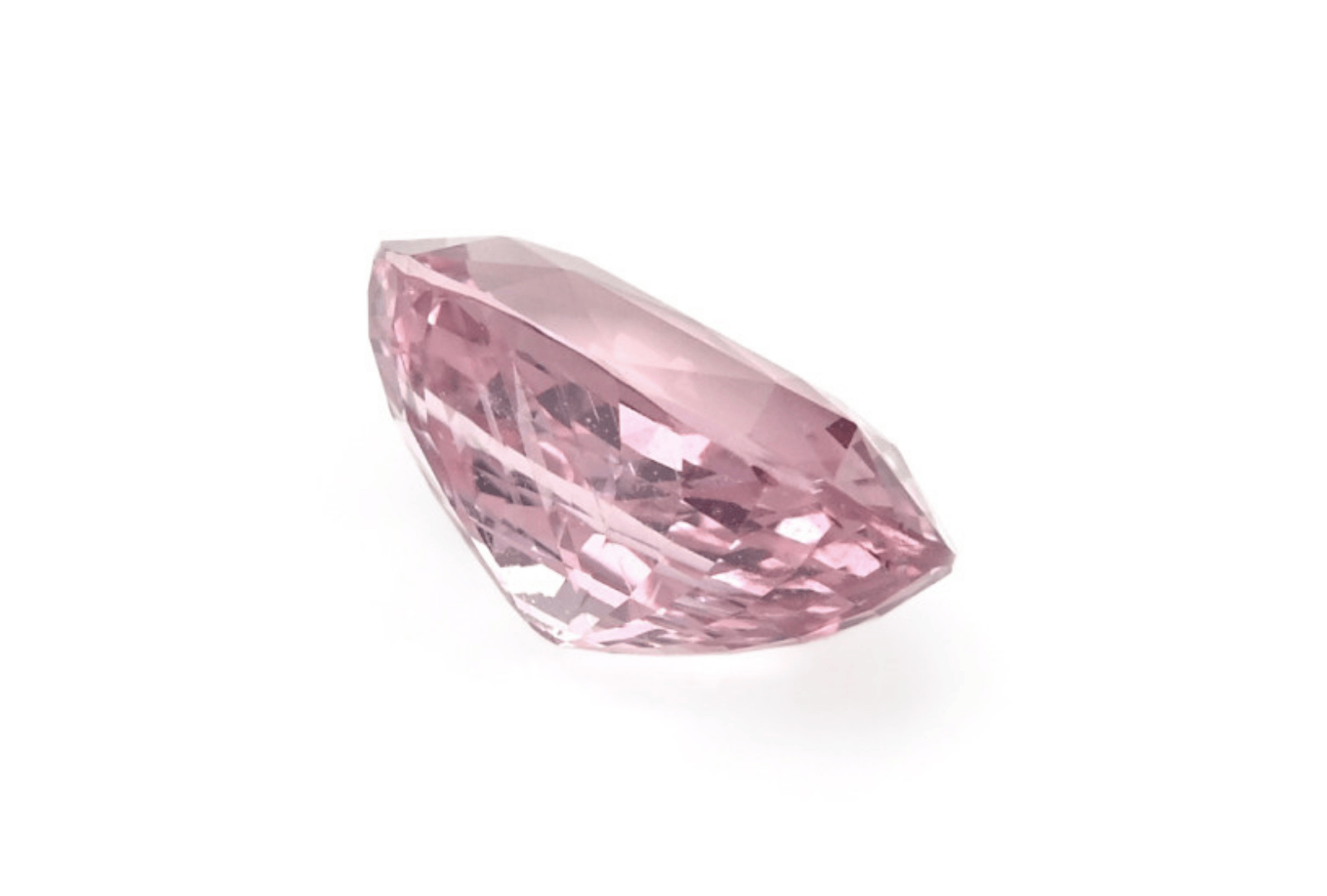 Untitled design - 2025-06-05T121638.485