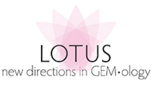 Screenshot 2025-07-09 052243